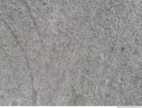 photo texture of grass dead 0011